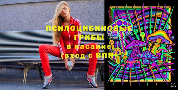 МДПВ Верхний Тагил