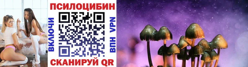 Псилоцибиновые грибы мицелий  Купить  Усть-Лабинск 